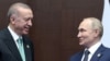 Реджеп Ердоган і Володимир Путін