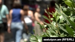 Երևան